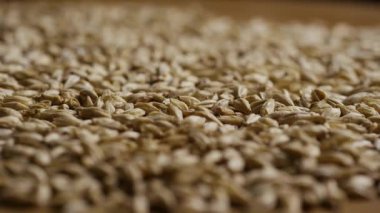 Düşük açılı arpa tanecikleri daha çok bira yapmak ve viski damıtmak için kullanılıyor.