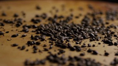 Sert bira ve bira üretimi için kahverengi ahşap yüzeye saçılmış koyu kavrulmuş arpa arpa tanelerinin düşük açılı görüntüsü.