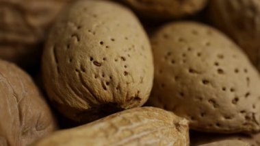 Ekstrem makro gözenekli badem kabuğunun detaylarını fıstığın kabuğunun yanında sağlıklı organik besin kalıbının yanında kapat