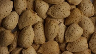 Gözenekli kabuklarda dönen badem yığınlarının üst görüntüsü doğal besin dokusu arka plan ve tarım hasat deseni oluşturur