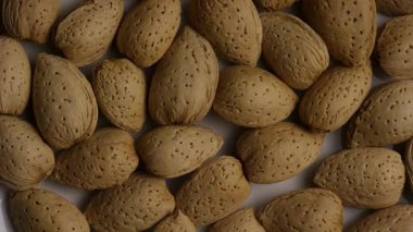 Kabuklu bademlerin tam çerçeve şekli üst görünümde dönüyor doğal yiyecek dokusu sağlıklı fındık