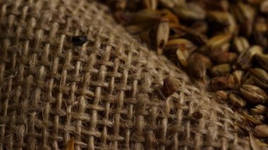 Kaba bir çuval bezi kumaş yüzeyine dağılmış kristal arpa taneciklerini kapatın ve kırsal tarımsal dokuları yavaşça gösterin.