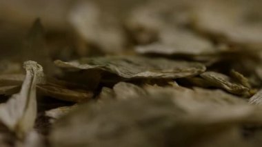 Kurumuş hop yaprakları ve koni dokusu arka plan bira üretim bitkisel tarım ürünleri için içerik üreten makro görünümü kapatın