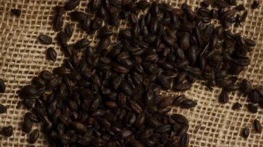 Koyu kavrulmuş arpa arpası tanecikleri kahverengi çuval kumaş arka planına saçılmış kırsal bira konsepti üst görünümü için