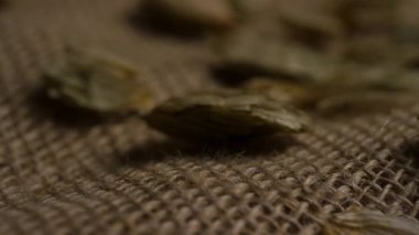 Makro, kahverengi desenli çuval üzerindeki kurumuş yeşil sıçrayışların yakın görüntüsü yavaş yavaş ayrıntıları ve mayalanma dokusunu gösteriyor