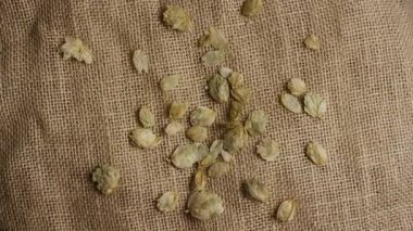 Kurumuş Yeşil Zıplama Konileri Kahverengi Çuval Çuval Kumaş Kumaş Kumaş Döküm Arkaplanı Bira Kavramı ve El işi Bira Üretim Endüstrisi Ham Malzeme