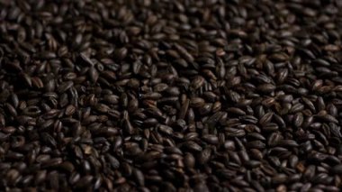 Sert bira demlemek için koyu kavrulmuş çikolata arpası tanecikleri ya da siyah renk gösteren dönen makro çekim hademesi gibi.