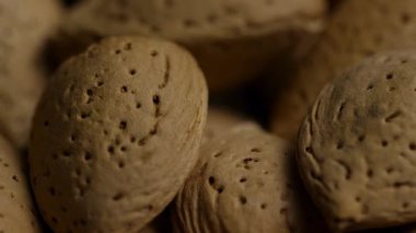 Ekstrem makro desenli kahverengi badem kabukları bir araya getirilerek doğal bir fındık besin kalıbı ve ham tarımsal hasat arka planının detaylarını oluşturuyor.