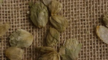 Tarım ürünlerini gösteren bira ve bira demlemek için desenli kumaş arkaplanda kurumuş hop çiçeklerinin makro görünümü