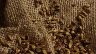 Koyu bira üretimi görsel arka plan sahnesi için kavrulmuş kahverengi arpa arpası tanelerini Rus kumaş kumaş dokusuna istifleyin.