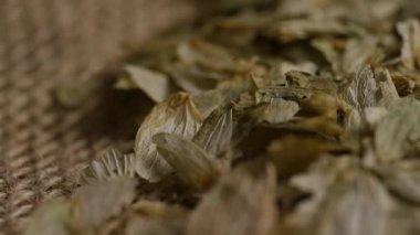 Kurumuş zıpzıp çiçeklerinin, bira fabrikası ve alkol endüstrisi için kumaş dokusundaki makro görüntüsünü kapatın.