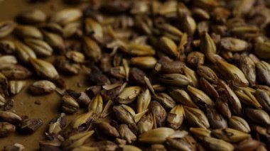 Kavrulmuş koyu çikolatalı arpa taneciklerinin makro görüntüsünü kapat bira demlemek için dokulu kahverengi bir yüzeye saçılmış.