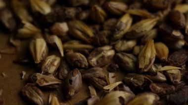 Birahane pazarlama, bira üretimi ve tarım kavramları için detaylı kabuk dokusunu gösteren koyu kavrulmuş kristal taneciklerin aşırı yakın çekim makrosu