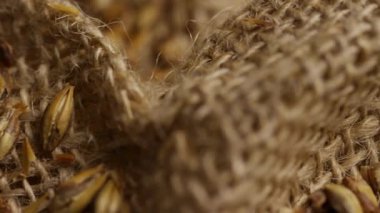 Makro yakın plan karamelli arpa tanecikli kavrulmuş karamelli karamelli arpa tanecikleri kırsal bir çuval dokusunda bira ve viski üretimi için.