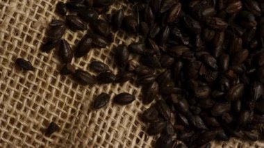 Koyu kavrulmuş arpa arpa taneciklerinin yukarıdan görünüşü kırsal çuval kumaşa saçılmış bira mayalama endüstrisi konsepti için yavaşça dönen.