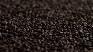 Birahane endüstrisinde bira yapımında kullanılan koyu kavrulmuş arpa arpa taneciklerinin tam çerçeve deseni ve Porter bira stilleri