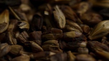 Ekstrem Makro Yakın Çekim Arpa Malt Kabukları ve Bira Üretimi ve Alkol İçme Arkaplan Dokuları İçin Tahıllar