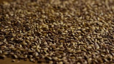 Bira imalatı ve viski damıtma endüstrisi kavramları için kavrulmuş arpa arpası tanelerinin tam çerçeve dokusu