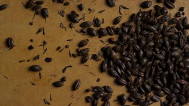 Koyu kavrulmuş siyah arpa taneleri, bira üretimi ve zanaatkar alkol endüstrisi kavramları için kahverengi yüzeye saçılmış.