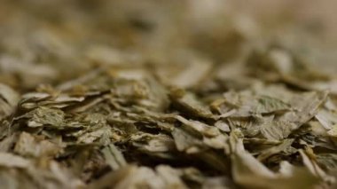 Bira fabrikası ve bira üretim endüstrisi ve alkol üretim konseptleri ve hasat için ezilmiş hop yapraklarının makro doku görüntüsü