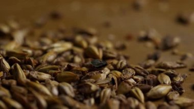 Bira demlemek için kahverengi yüzeye saçılmış kavrulmuş arpa tanelerinin yakın görüntüsü ve viski üretim süreci malzeme dokusu ayrıntıları makroyu vurdu