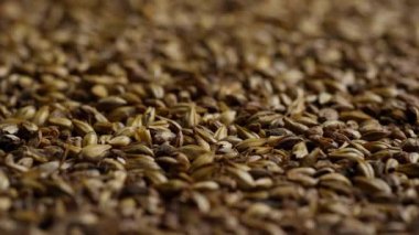 Kavrulmuş arpa arpası taneciklerinden oluşan bir yatağın üzerinde çekim yapıyoruz. Bira üretimi için zengin kahverengi renkler ve dokular gösteriliyor. Bira alkolü.