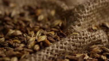Bira demlemek ve viski üretmek için çuval bezi dokusuna saçılmış kavrulmuş arpa arpası tanecikleri.