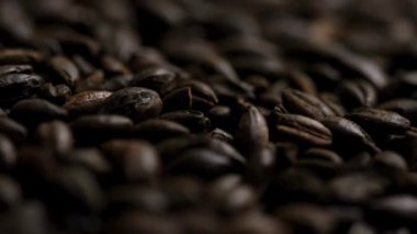 Koyu kavrulmuş siyah malt veya çikolatalı arpa taneleri dolgun ve porter bira üretimi ve ağır alkollü içecek endüstrisi kavramları için dönüyor.