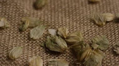 Yüksek açılı yeşil hop külahlarının kırsal kahverengi çuval bezi üzerine dağılmış görüntüsü dokuyu ve detayı yavaşça gösteriyor.