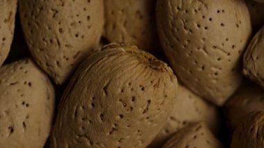 Kabuklu çiğ badem fıstığının aşırı yakın dokusu gözenekli yüzey detaylarını ve doğal kahverengi rengini yavaş yavaş gösteriyor.