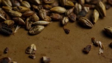 Koyu kavrulmuş arpa taneciklerinin yakın görüntüsü kahverengi kağıdın arka planına saçılmış desen ve ayrıntıları yavaş yavaş gösteren.