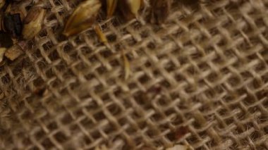 Bira demleme malzemeleri için kırsal kahverengi çuval dokusuna saçılmış kavrulmuş arpa arpası taneciklerinin dönüşümlü görüntüsü.