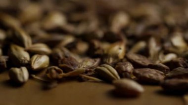 Makro, bira demlemek için bir yüzeye saçılmış kavrulmuş arpa tanelerini yakın çekim yap.