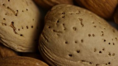 Ekstrem makro, gözenekleri ve pürüzlü yüzeyi gösteren badem ceviz kabuklarının detaylarını kapat