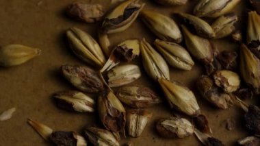 Koyu kavrulmuş çikolatalı arpa taneciklerinin dönüşümlü görüntüsünü kapatın. Sert bira malzemesi ve dokuma için yumuşak kahverengi kağıt yüzeyine saçılmış.