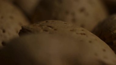 Sert kahverengi badem kabuklarından oluşan uç makro, detaylı gözenekli dokuyu ve doğal organik sağlıklı besin kalıbını gösteren çarpıcı ışıklandırma ile yakın çekim.