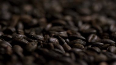 Yakın odaklı koyu kavrulmuş tahıllar ön planda karamsar desenli tarım sahnesi yaratıyor.