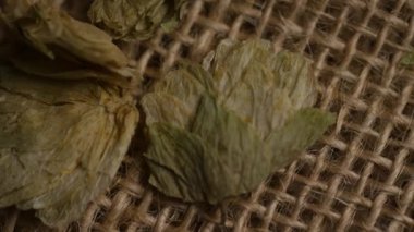 Kurumuş yeşil kakule kapsüllerini kapatın çuval bezi üzerinde dinlenerek kırsal baharat arkaplan dokusu oluşturun.