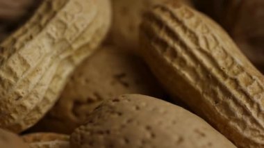 Deniz kabuklarındaki bademlerin sinematik görüntüsü sert doğal dokuları ve yumuşak yönelimli aydınlatma altında toprak tonlarını açığa çıkarıyor.