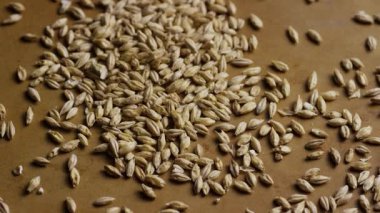 Tarımsal beslenme ve doğal gıda dokusunu vurgulayan nötr kahverengi yüzey boyunca ham tahıl tanelerinin yavaş çekim dağılımı
