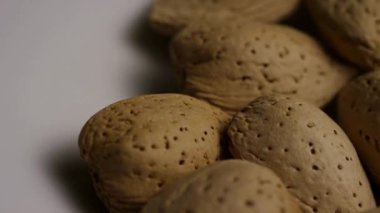 Deniz kabuklarındaki bademler doğal dokuyu yakından vurguluyor