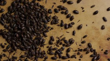 Koyu kavrulmuş kahve çekirdekleri desenli yüzeye saçılmış.