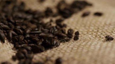 Kavrulmuş kahve çekirdeklerinin makro görüntüsünü kapatın. Sıcak, yumuşak stüdyo ışıkları altında, kaba çuval bezi kumaşına saçılmış.