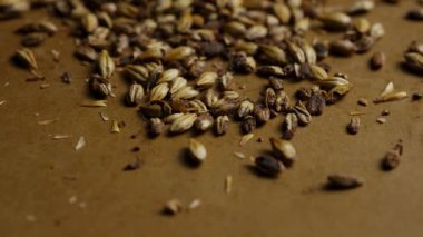 Kurumuş yeşil kakule kapsüllerinin makro görüntüleri kahverengi yüzeye saçılmış, doğal yumuşak ışıklandırmalı.