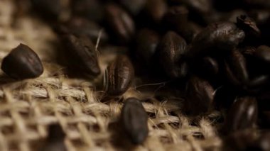 Kavrulmuş kahve çekirdekleri, hafif ışıklandırmanın altında, çiğ çuval bezi kumaşında son derece yakın duruyor.