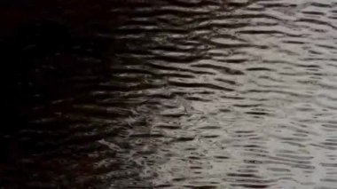 Dalgalanmalar ve Dalgalarla Karanlık Su Yüzeyi Doğal Hareket ile Tek Renkli Dinamik Doku Deseni Oluşturuyor