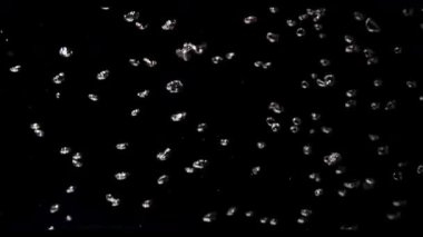 Beyaz düzensiz şekiller yüzer ve saf siyah arkaplan üzerinde hareket eder soyut minimalist desen hareketi yaratır