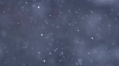 Gerçekçi kar parçacıkları, karanlık atmosferik arkaplana karşı yavaş çekimde düşerler..