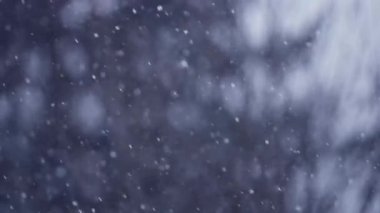 Gerçekçi kar parçacıkları, karanlık atmosferik arkaplana karşı yavaş çekimde düşerler..