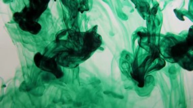 Canlı yeşil mürekkep bulutları parlak beyaz stüdyo arka planına karşı berrak suda dağılıyor ve akıyor.